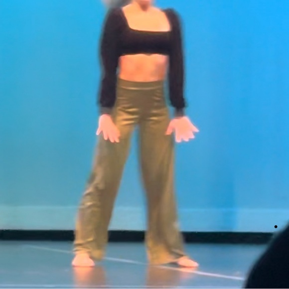 The Lineup Two Piece Dance Costume Teen Size 16 Velvet Crop Top and Pants - Picture 16 of 16